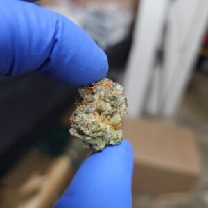 Indoor THCa Flower - Purple Wedding