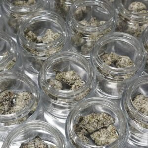 Snowballs Iced Exotic Flower