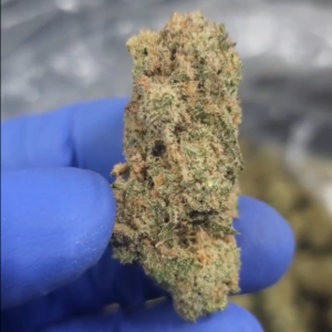 Indoor THCA Flower - Blue Agave