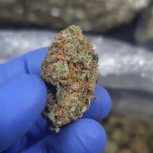 Indoor THCA Flower - Blue Dream