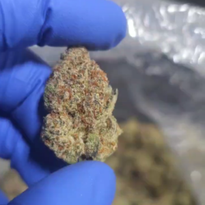 Indoor THCA Flower - Crater Lake