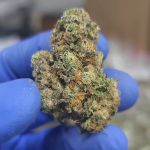 Indoor THCA Flower - Fornicate