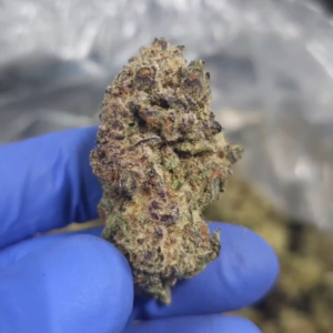 Indoor THCA Flower - Gary Payton