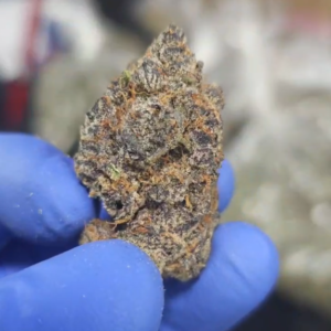 Indoor THCA Flower - Gas Monkey