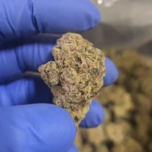 Indoor THCA Flower - Lung Buster