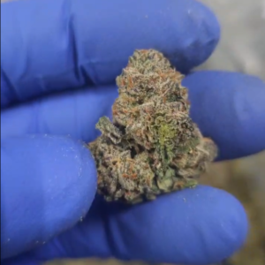 Indoor THCA Flower - Nascar