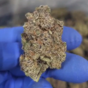 Indoor THCA Flower - Peach Rainbow