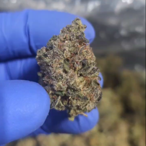 Indoor THCA Flower - Popping Bottles