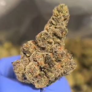 Indoor THCA Flower - Rose Gold Runtz