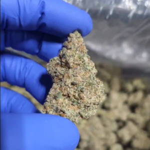 Indoor THCA Flower - Street Tarts